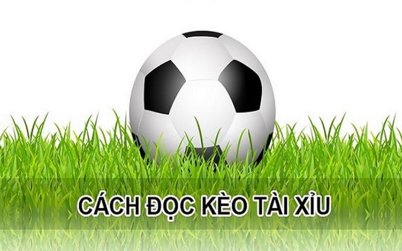 Kinh nghiệm đặt cược kèo tài xỉu